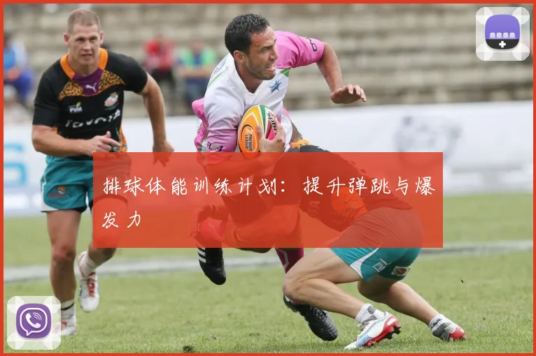 排球体能训练计划：提升弹跳与爆发力
