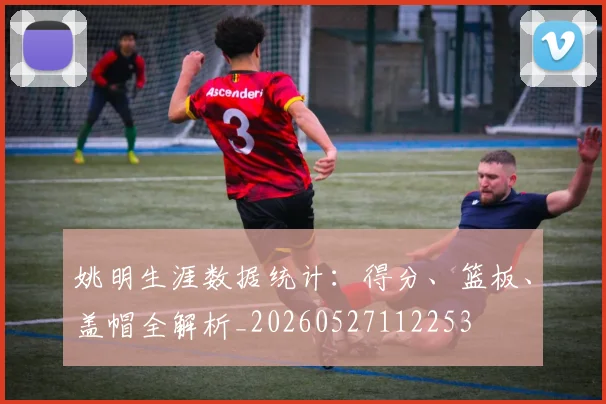 姚明生涯数据统计：得分、篮板、盖帽全解析_20260527112253