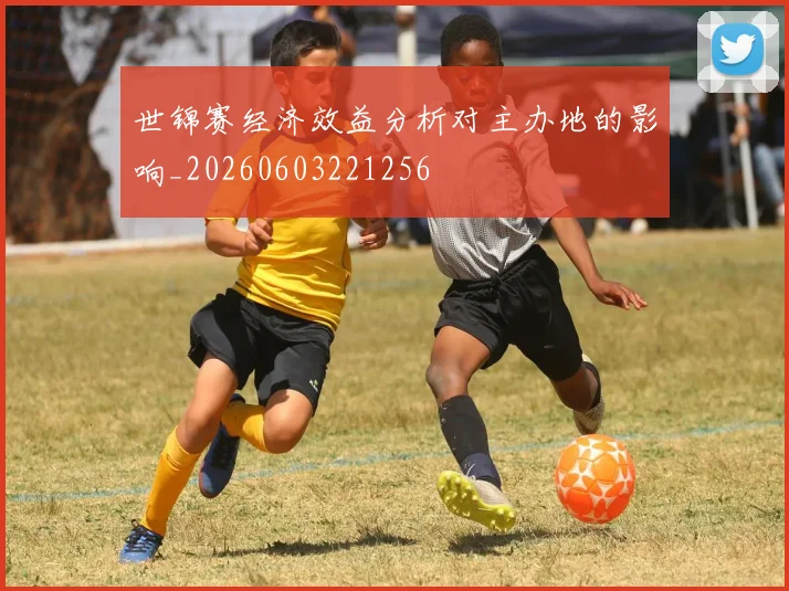 世锦赛经济效益分析对主办地的影响_20260603221256