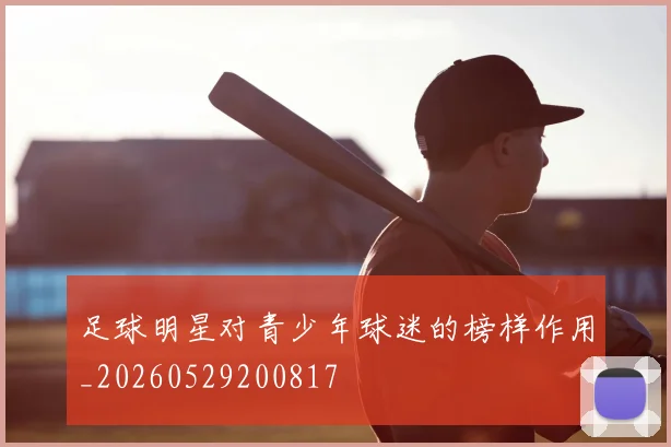 足球明星对青少年球迷的榜样作用_20260529200817